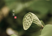 夏至有什么習(xí)俗？夏至吃什么傳統(tǒng)食物？