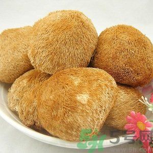 吃猴頭菇有什么好處？猴頭菇有什么營養(yǎng)價值？