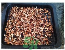猴頭菇粉怎么做？猴頭菇餅干怎么做？