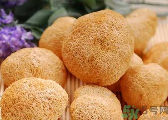 猴頭菇粉怎么做？猴頭菇餅干怎么做？