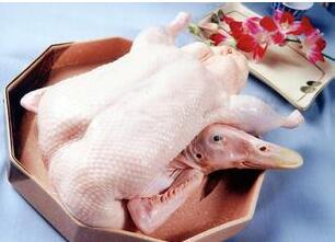 海帶能和鴨子一起煮嗎？海帶和鴨子一起煮好嗎？