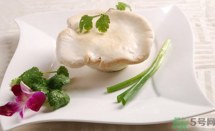 白靈菇和杏鮑菇有什么區(qū)別？白靈菇有什么營(yíng)養(yǎng)價(jià)值？