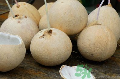 孕婦能吃椰子嗎？孕婦能喝椰子汁嗎？