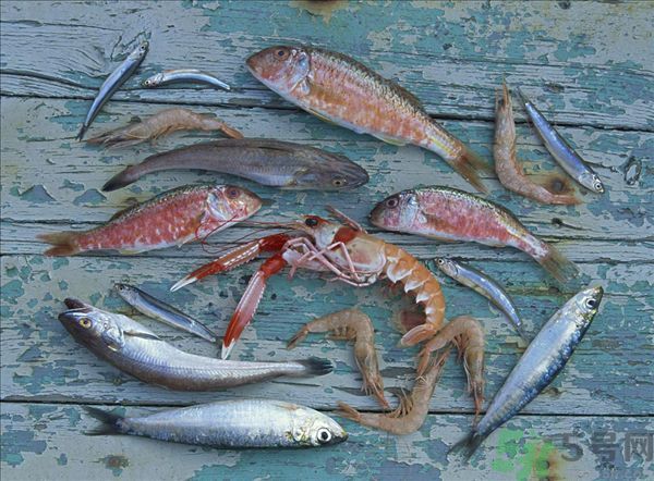 死蝦被稱腦死亡 死蝦吃了會(huì)怎么樣？