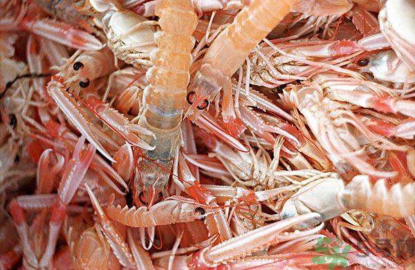 死蝦被稱腦死亡 死蝦吃了會(huì)怎么樣？