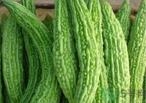 苦瓜的皮可以吃嗎？苦瓜要不要削皮？