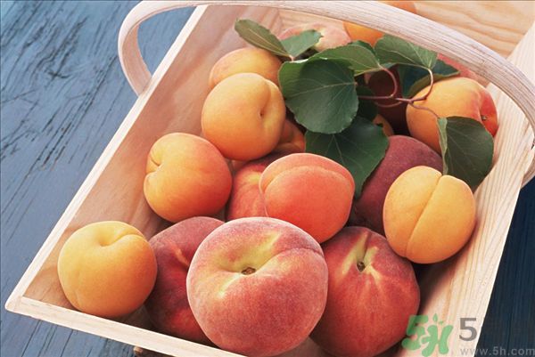 吃桃子會(huì)脹氣嗎？吃桃子注意事項(xiàng)有哪些？