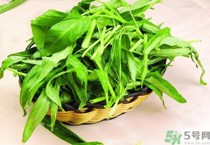 空心菜有什么功效？空心菜的功效是什么？