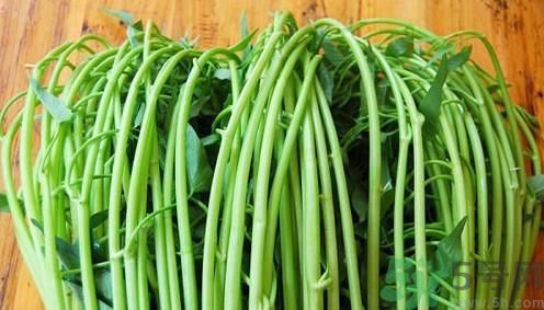 空心菜吃葉子還是吃桿？空心菜吃葉子好嗎？