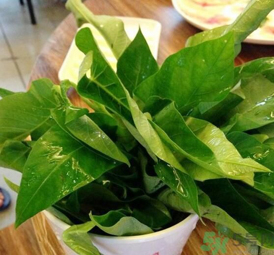 空心菜泡水了還能吃嗎？泡水的空心菜可以吃嗎？