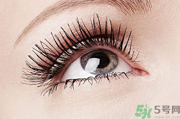 眉毛淡是種怎樣的體驗(yàn)？眉毛淡是什么原因？