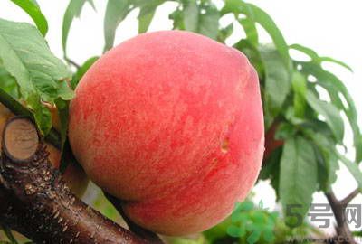 吃桃子怎么去毛？吃桃子有什么技巧？