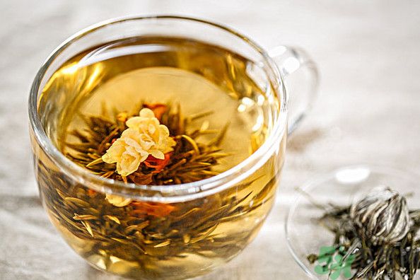 茉莉花綠茶加苦瓜能減肥嗎？茉莉花和苦瓜泡水喝嗎？