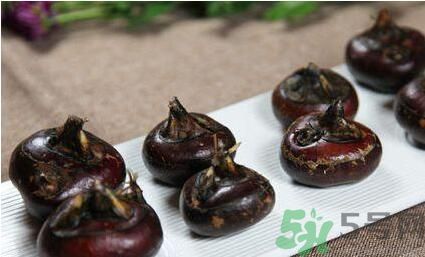 荸薺是寒性還是熱性？荸薺是寒性嗎？