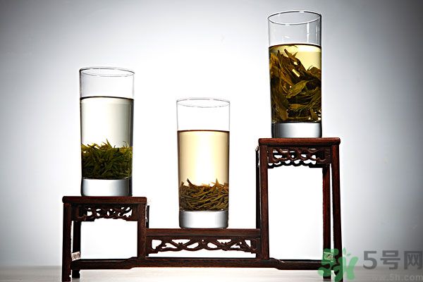 茯苓和苦丁茶能一起泡嗎？茯苓可以和苦丁茶一起喝嗎？