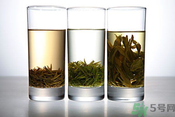 茯苓和苦丁茶能一起泡嗎？茯苓可以和苦丁茶一起喝嗎？