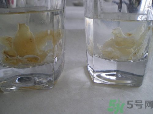 硫磺熏過的百合能吃嗎？如何辨別硫磺熏過的百合？