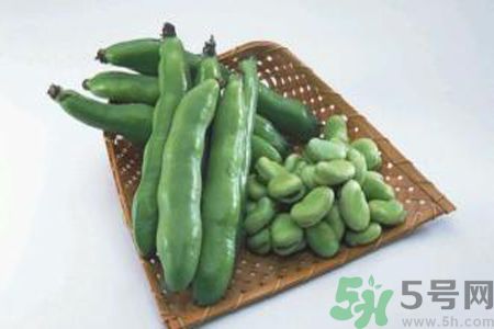 蠶豆是熱性還是涼性？蠶豆是熱性的嗎？