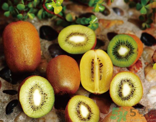 獼猴桃扁嘴的好嗎？獼猴桃扁嘴好還是尖嘴好？