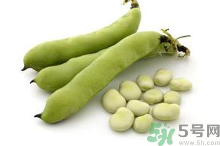 寶寶可以吃蠶豆嗎？寶寶多大可以吃蠶豆？