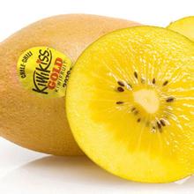 黃心獼猴桃和綠心獼猴桃哪個好？黃心獼猴桃和綠心獼猴桃有什么區(qū)別？