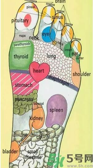 發(fā)燒可以吃洋蔥嗎？發(fā)燒能吃洋蔥嗎？