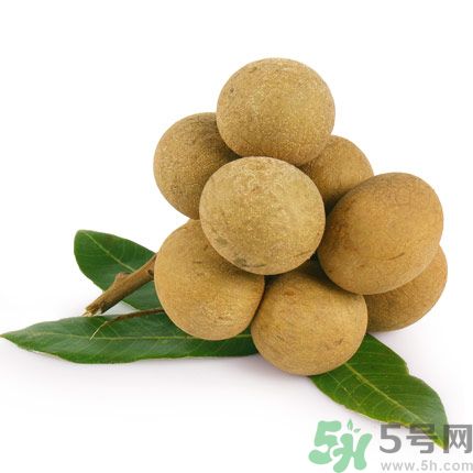 吃龍眼能夠補腦嗎？吃龍眼可以變聰明?