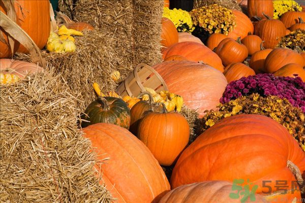 南瓜去水腫嗎？南瓜能消腫嗎？