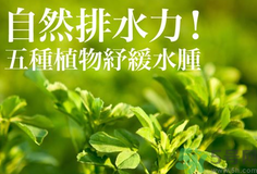 南瓜去水腫嗎？南瓜能消腫嗎？