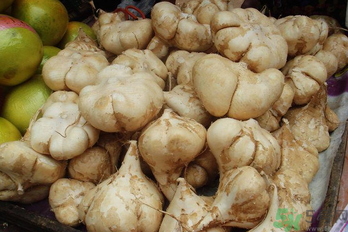 涼薯吃多了好嗎？地瓜吃多了會上火嗎？