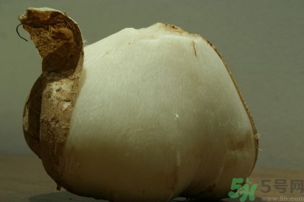 涼薯吃多了好嗎？地瓜吃多了會(huì)上火嗎？