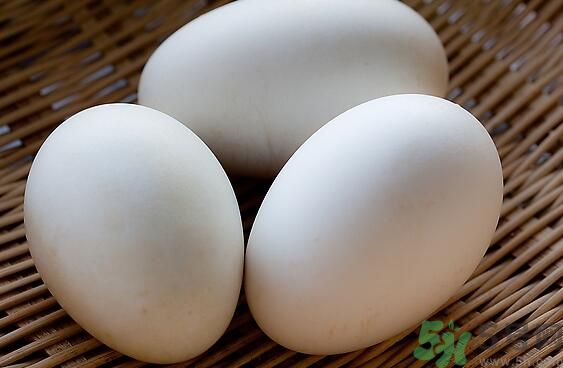 鵝蛋可以清火嗎？鵝蛋可以降火嗎？