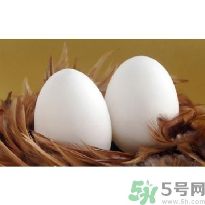 鵝蛋可以清火嗎？鵝蛋可以降火嗎？