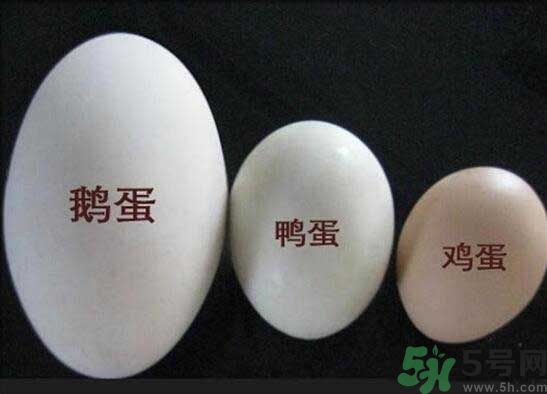 鵝蛋和鴨蛋哪個好？鵝蛋和鴨蛋哪個清火效果好？