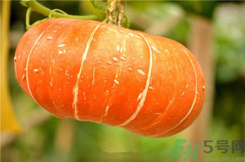 1462936666530433.jpg 09-04-11-29-11215.jpg