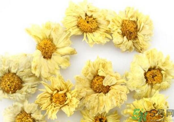 菊花晶有什么功效？菊花晶的功效是什么？