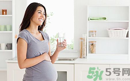 孕婦可以喝菊花晶嗎？孕婦能喝菊花