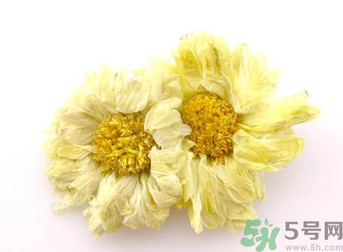 菊花晶能喝綠豆湯一起喝嗎？菊花晶和綠豆湯可以一起喝嗎？