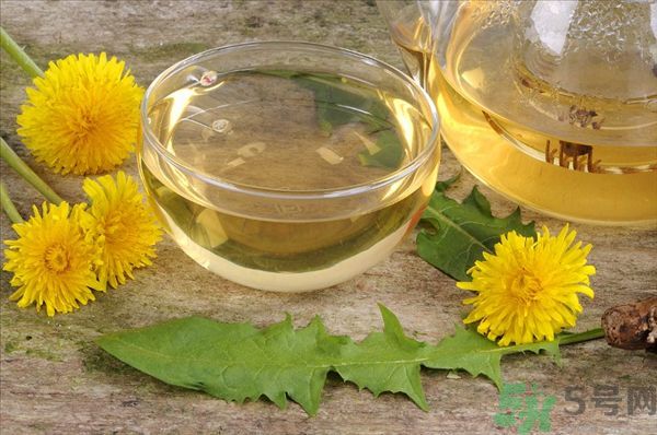 蒲公英泡茶有什么功效？蒲公英泡茶的功效是什么？