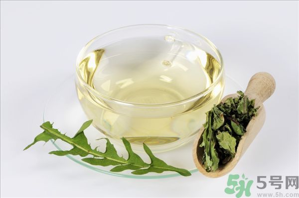 蒲公英根泡茶好還是蒲公英葉泡茶好？蒲公英根和葉哪個(gè)效果好？