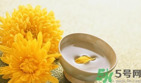 蒲公英可以祛痘嗎？蒲公英怎樣可以祛痘？