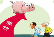 豬肉價格為什么驚動世界？豬肉價格一直上漲的原因是什么？
