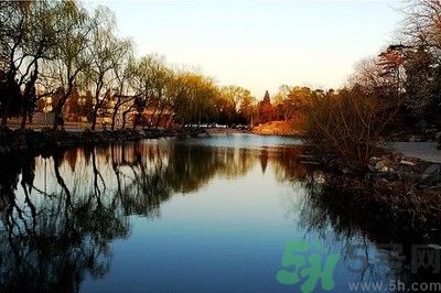 清華取消北大培文杯非原創(chuàng)考生自招資格是怎么回事？