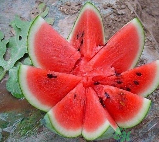 坐月子能吃西瓜嗎？坐月子吃西瓜好不好？