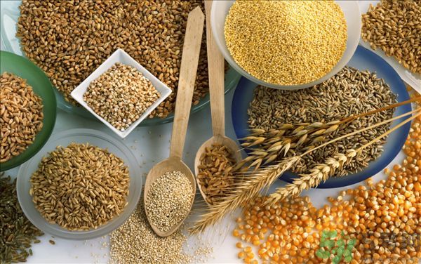 夏天吃蕎麥好嗎？夏天吃蕎麥有什么好處？