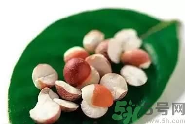 夏天吃芡實(shí)好嗎？夏天吃芡實(shí)有什么好處？