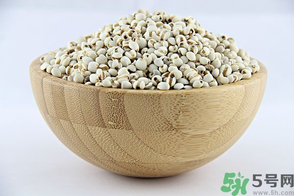 夏天吃薏米好嗎？夏天吃薏米有什么好處？