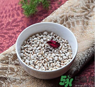 夏天吃薏米好嗎？夏天吃薏米有什么好處？