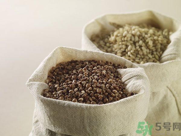 夏天吃高粱好嗎？夏天吃高粱有什么好處？