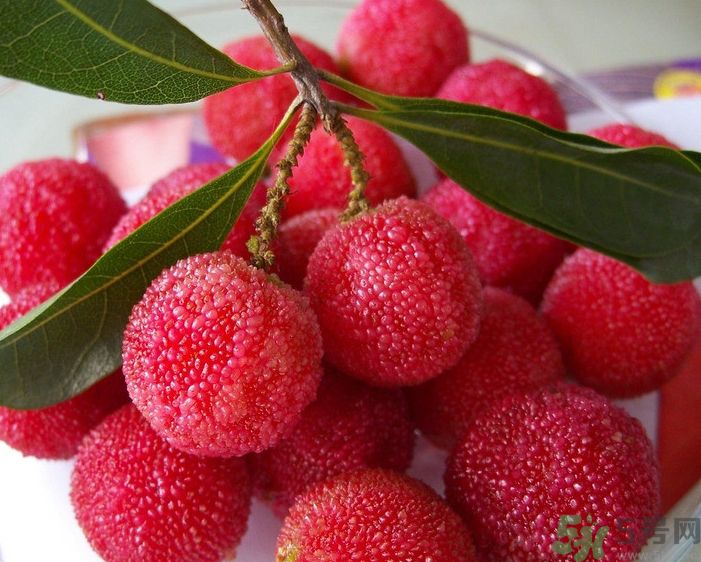 吃楊梅會拉肚子嗎？吃楊梅拉肚子怎么辦？